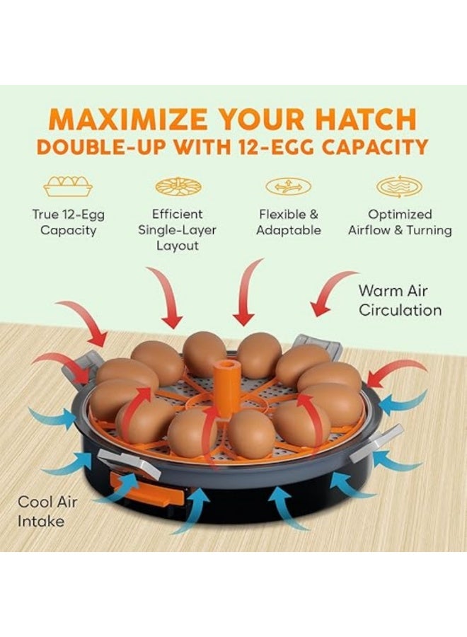 إم مياويان حاضنة بيض 12 بيضة مع تقليب أوتوماتيكي للتحكم بالرطوبة وتنظيم درجة الحرارة – حاضنة بيض دجاج مع فحص البيض المدمج – سهلة الاستخدام للفقس المنزلي - Image 4